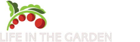 Footer Logo